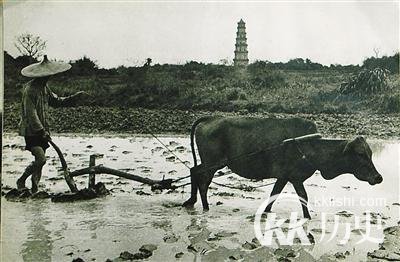 揭日军侵略海南罪行：18村庄夷为平地
