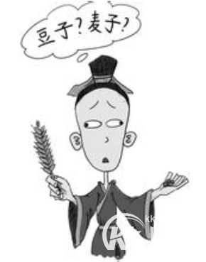 乘以不辨菽麦的主人公是谁？不辨菽麦有什么历史典故