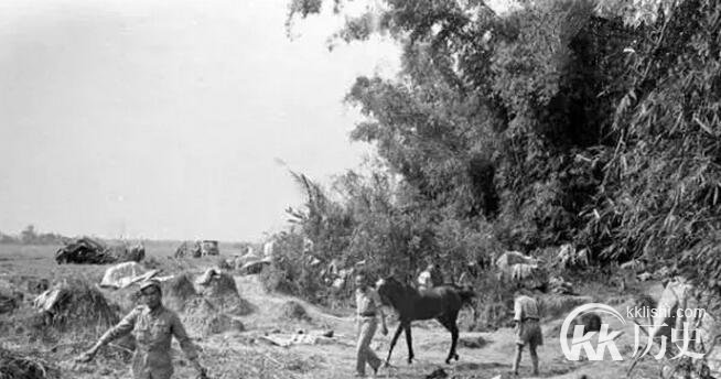 347具中国远征军遗骸真相：曾埋骨缅甸猪圈垃圾场