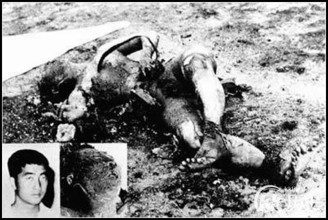 913事件揭秘：是谁干掉了林彪的“256专机”