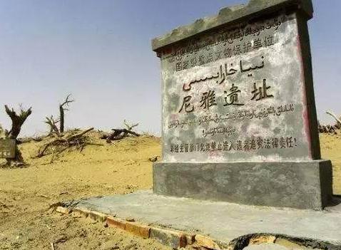 关于精绝国的故事有哪些