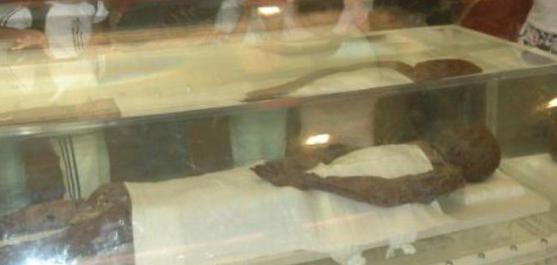 我国发现的第三具保存完好的汉代湿型古尸凌惠平简介