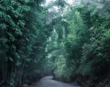 有哪些爱好饮酒的豪杰