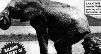 古代避孕都是什么样的 和电视剧的一样吗