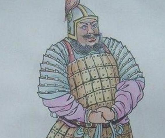 马援平定羌乱攻打岭南,什么没进云台28将