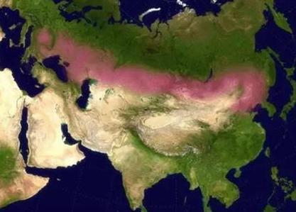 秦始皇统一大业后就制定北讨匈奴的方针 他先做的事情是什么