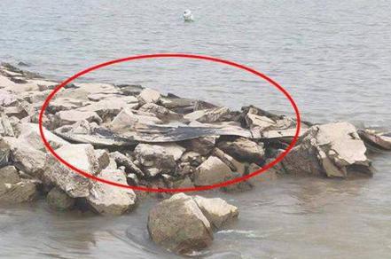 三峡水怪真相揭秘！三峡水怪究竟是什么东西