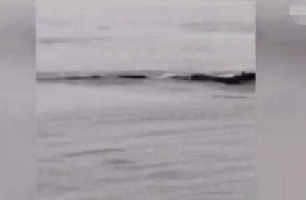 三峡水怪真相揭秘！三峡水怪究竟是什么东西