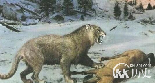 冰冻万年狮子尸体：万年前的狮子原来是长这样的