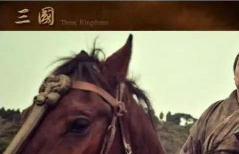 刘备伐吴为何如此坚决?就算是诸葛亮的劝诫,还是执意要去