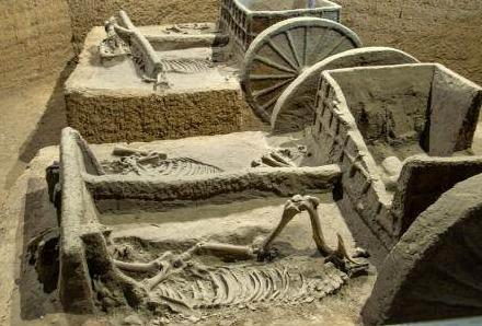 妇好凭什么能指挥那么多次战争 她究竟有多厉害