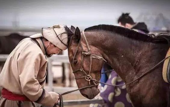 金帐汗国是算俄国的历史吗