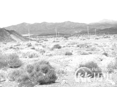 西路军余部的悲壮历程：血染红旗飘祁连
