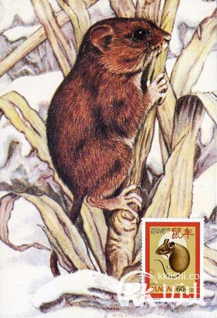 首鼠两端的主人公是谁?成语首鼠两端的故事