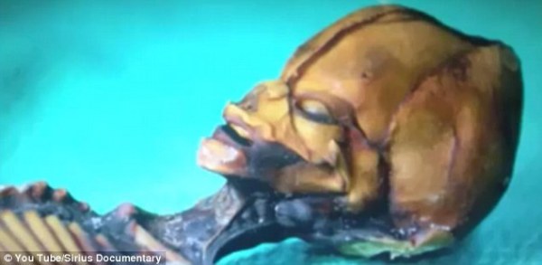 智利发现的迷你外星人被证实为人类突变