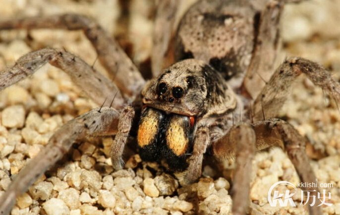 人类历史上十大沙漠未解之谜：沙漠宝石从何而来