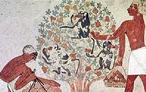 奴隶这一词在中国是什么时候出现的