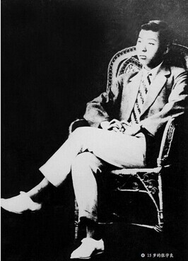 张学良15岁成公司大股东 持股时间长达42年