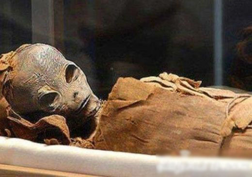 埃及疑似发现外星木乃伊