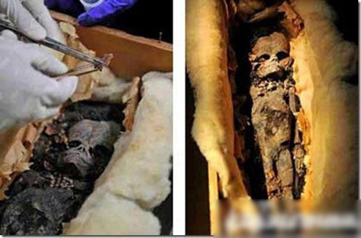 埃及疑似发现外星木乃伊