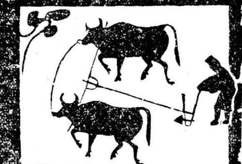 战国时期只有秦国变法了吗