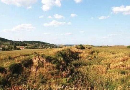 孝庄太后最疼爱的和硕恭悫长公主，却成了康熙的牺牲品