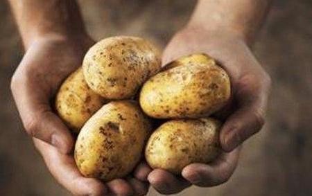 揭秘康乾盛世为何会被称为番薯盛世 真相却是这样的