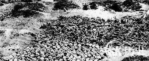 中越战争:越南化学武器 许世友怒号一间房不留