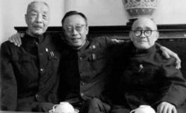 为何咸丰之后清朝皇帝开始绝后