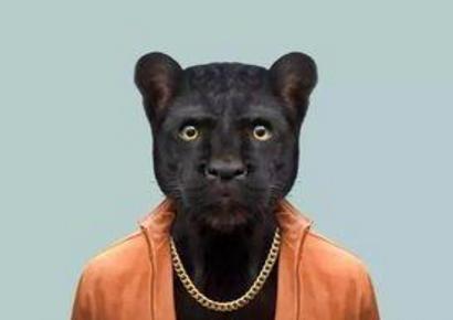 衣冠禽兽到底指的是什么 为何在明朝人人都想做所谓的禽兽呢