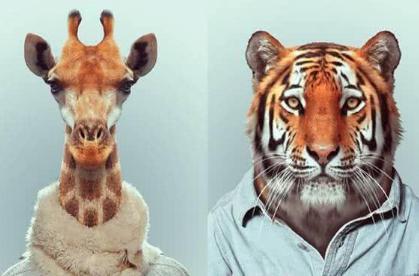 衣冠禽兽到底指的是什么 为何在明朝人人都想做所谓的禽兽呢