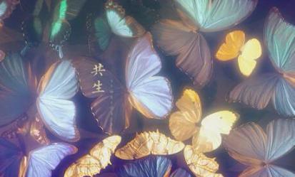 庄周梦蝶的一些诗句感悟!