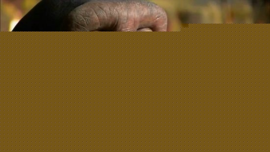 全球十大无解谜团：史前壁画揭人类大秘密