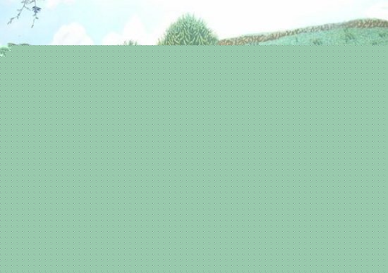 全球十大无解谜团：史前壁画揭人类大秘密