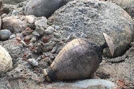 张献忠“江口沉银”在上面地方