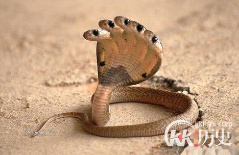 慎入！传说中那些让人毛骨悚然可怕的怪物