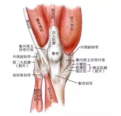 军事家孙膑受“膑刑”后终生无法站立