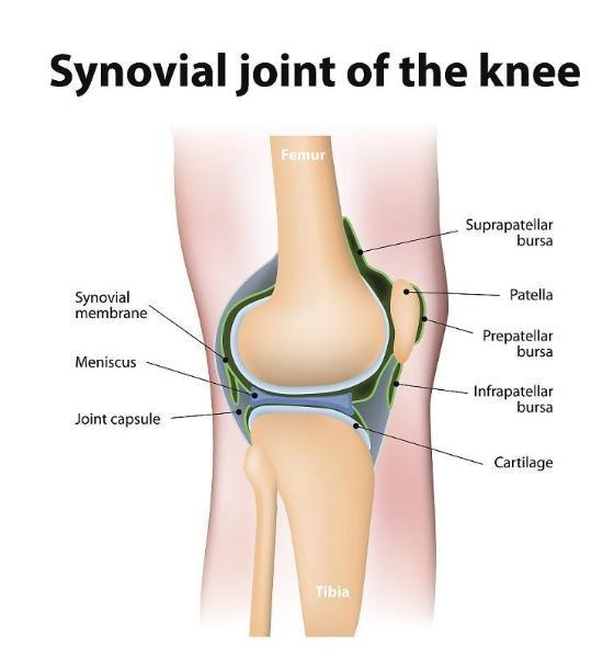军事家孙膑受“膑刑”后终生无法站立
