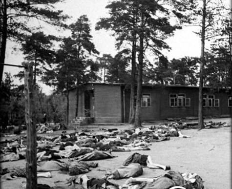 德国纳粹最大的妇女集中营死亡人数惊人