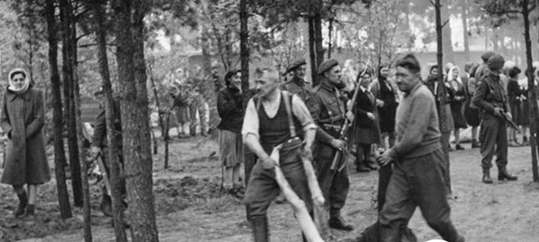 德国纳粹最大的妇女集中营死亡人数惊人