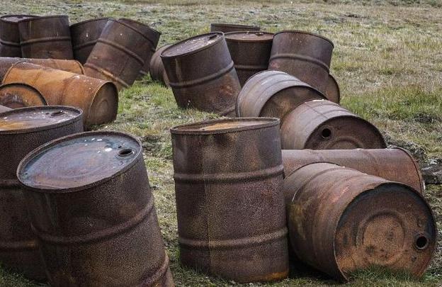 俄罗斯最鸡肋的领土,最后一位岛民被北极熊咬死,美强烈要求收回