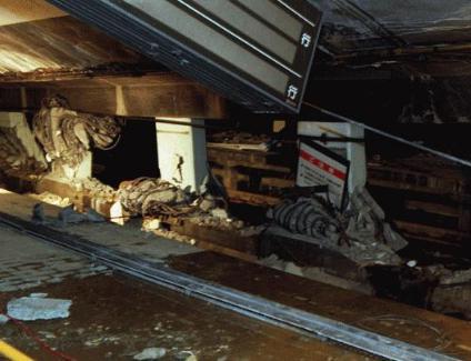 阪神大地震简介 造成这场灾害的主要因素是什么