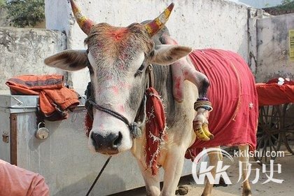 乌克兰一母狗生下人形“怪物”