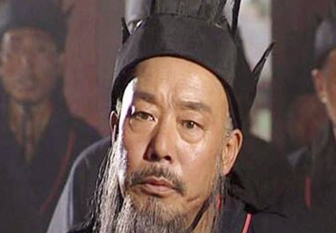 陈祗真的是导致蜀汉灭亡的罪人