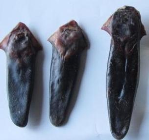 唐玄宗是因为一道美食而差点丢掉江山的吗