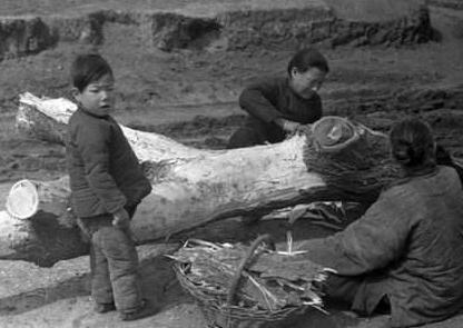 和珅口中说的观音土是什么东西 吃了会有什么副作用呢