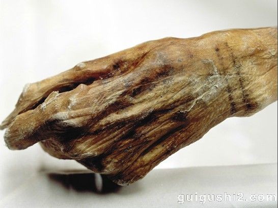 神秘冰人发现揭秘