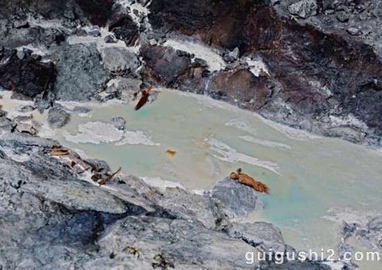 神秘冰人发现揭秘