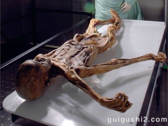 神秘冰人发现揭秘