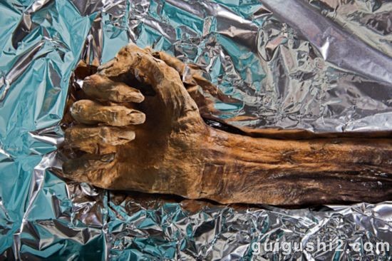 神秘冰人发现揭秘